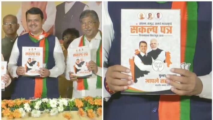 maharashtra Election bjp proposes Bharata rathna for savarkar in election manifesto maharashtra Election bjp proposes Bharata rathna for savarkar in election manifesto