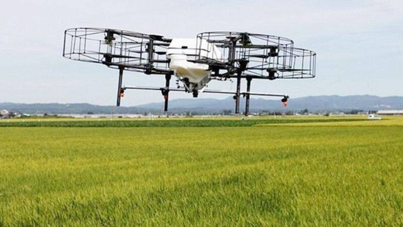 rajastan agriculture officials plan to locust destroying with drone