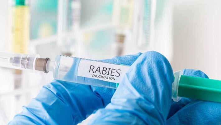 rabies death expert committee constituted for study rabies death expert committee constituted for study