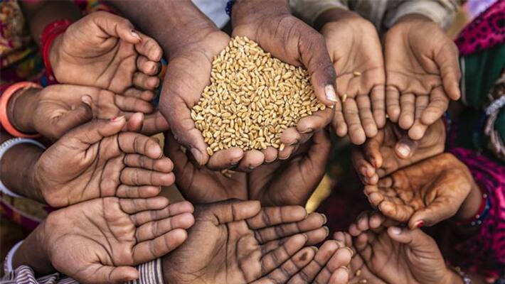 indias ranking in global hunger index 2019 indias ranking in global hunger index 2019