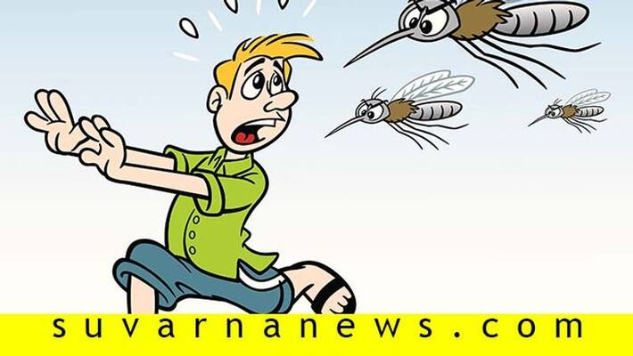 Home to dangerous insects that currenlty plague to India Home to dangerous insects that currenlty plague to India