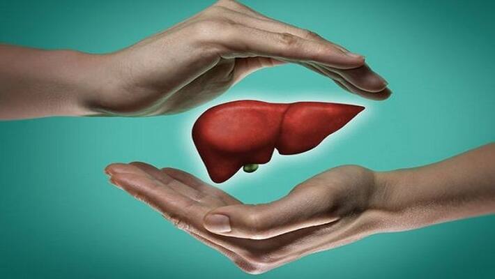 Liver disease cirrhosis is a silent killer symptoms appear in the last stage NTP Liver disease cirrhosis is a silent killer symptoms appear in the last stage NTP