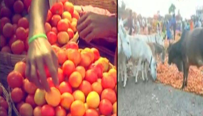 tomato farmers protest kurnool high way over low price &commission