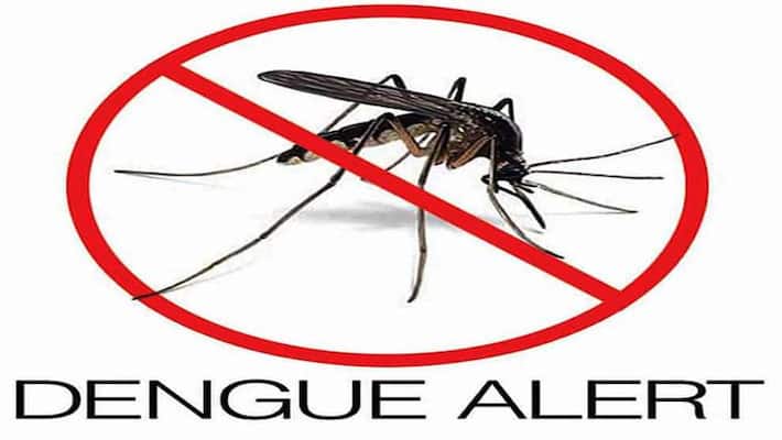 Dengue Survivors share their stories of battling with this horrific disease Dengue Survivors share their stories of battling with this horrific disease