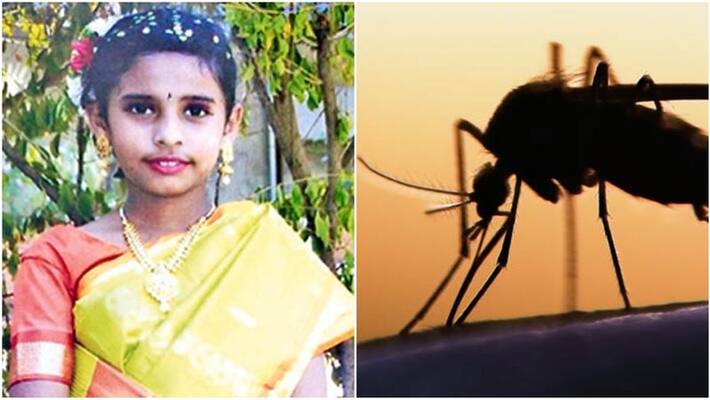 10 year old girl died due to dengue fever 10 year old girl died due to dengue fever