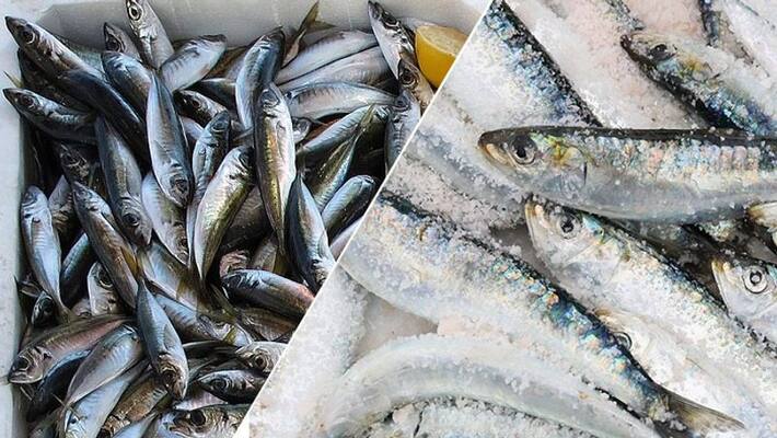 No Fish Dishes Available In Karwar Due To Fishermen Protest No Fish Dishes Available In Karwar Due To Fishermen Protest