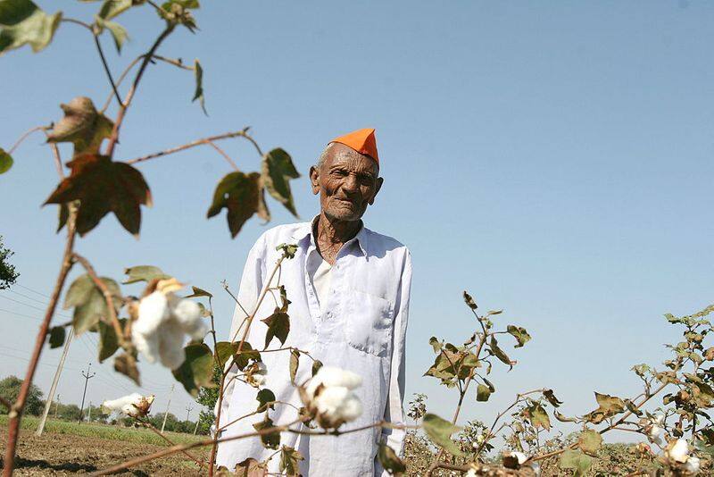 farmer suicide why not an issue in maharashtra elections