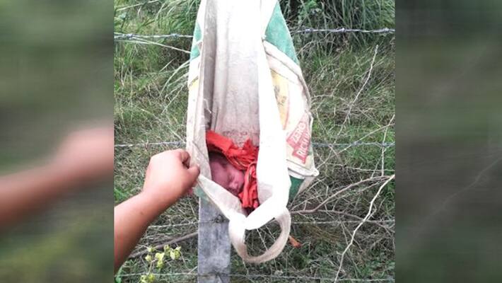newborn baby found between barbed wire newborn baby found between barbed wire