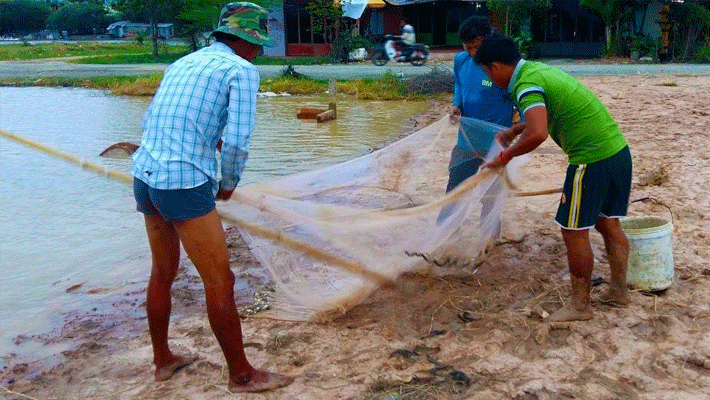 10 feet long trapped in fishing net stirring by Fisherman in bihar 10 feet long trapped in fishing net stirring by Fisherman in bihar