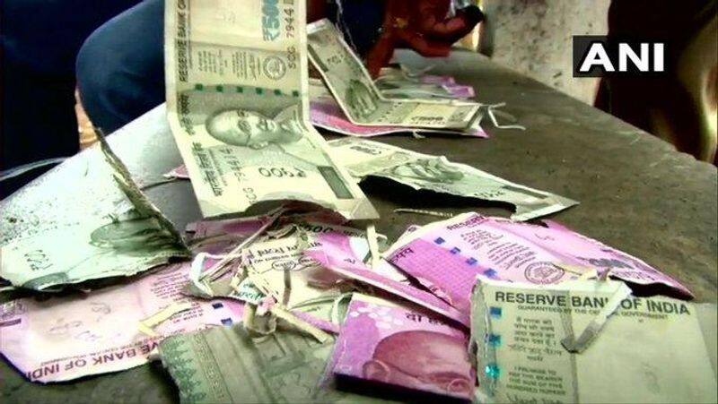 rat damaged farmer's money