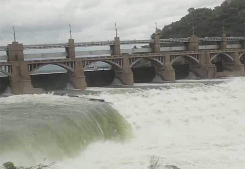 water turned into green cololur in mettur dam