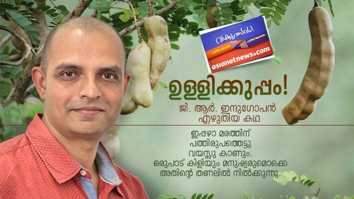 Literature festival short story by GR Indugopan Literature festival short story by GR Indugopan