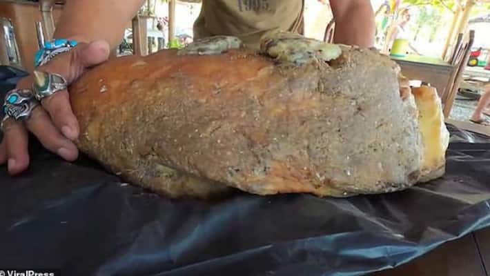 fisherman got whale vomit worth more than two crore fisherman got whale vomit worth more than two crore