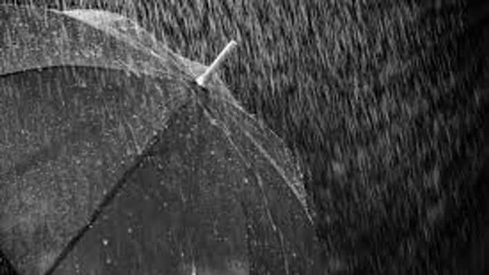 Schools colleges in six districts of Tamil Nadu remain closed due to torrential rains Schools colleges in six districts of Tamil Nadu remain closed due to torrential rains