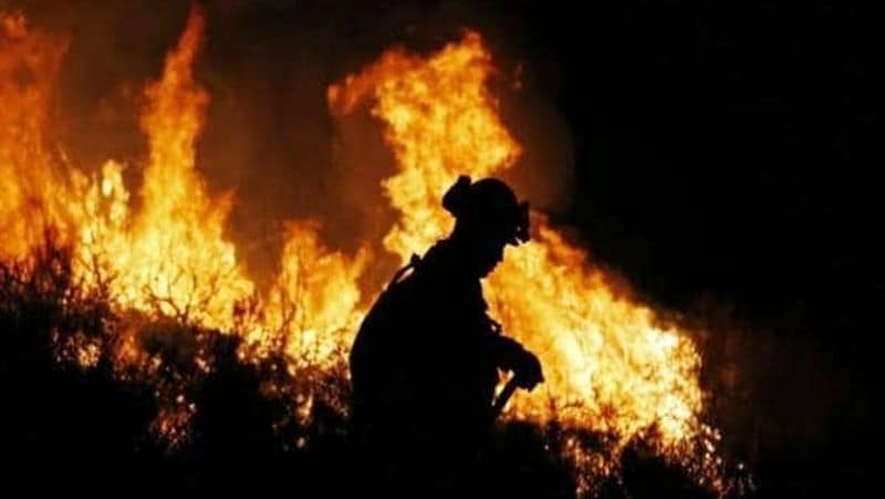 नेशनल वेदर सर्विस के पूर्वानुमान के अनुसार, रविवार तक हवा की रफ्तार तेज हो सकती है। इससे पहले उत्तरी कैलिफोर्निया के वाइन कंट्री में भी बुधवार को जंगली झाड़ियों में आग भड़की थी।