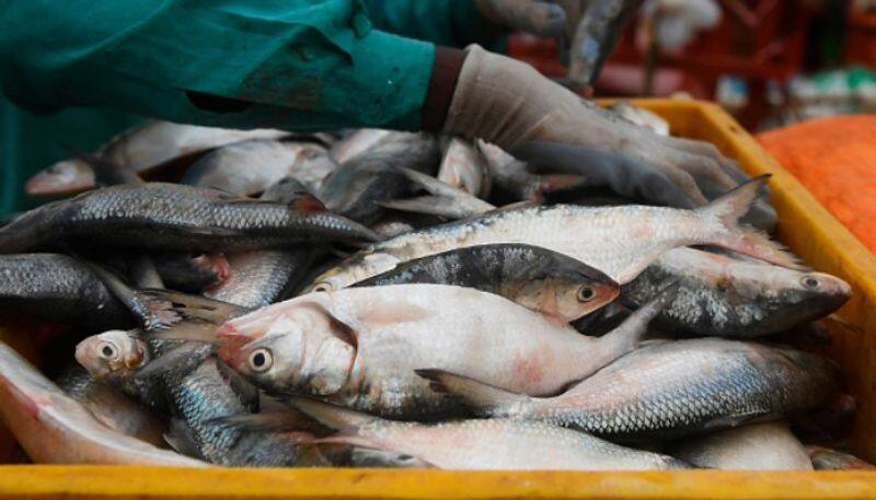 purattashi month ends - fish price hiked in chennai kasimedu fish market