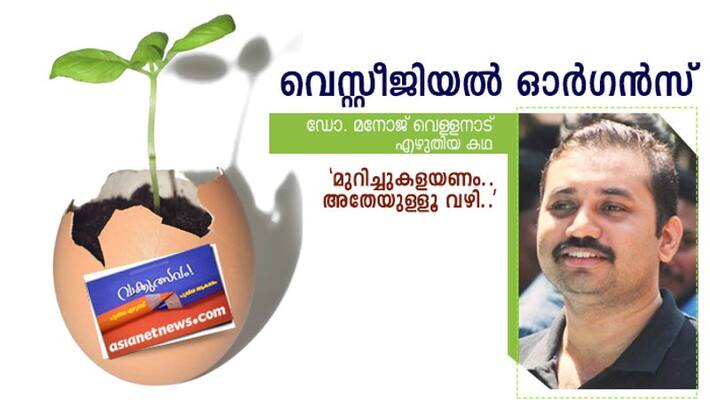 literature festival short story by Dr Manoj Vellanad literature festival short story by Dr Manoj Vellanad