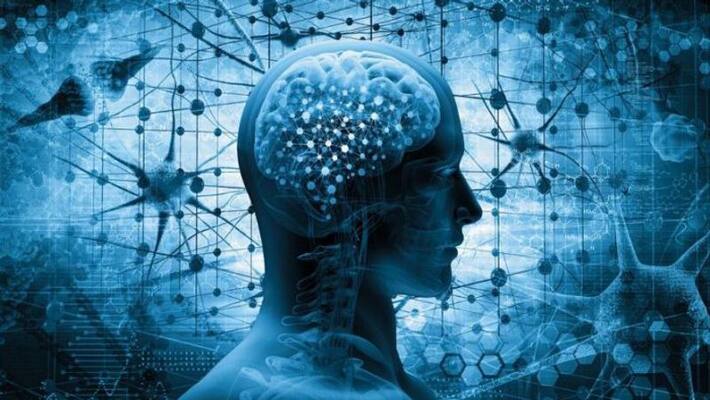 Indian brain size is smaller! Hyderabad researchers make remarkable finding Indian brain size is smaller! Hyderabad researchers make remarkable finding