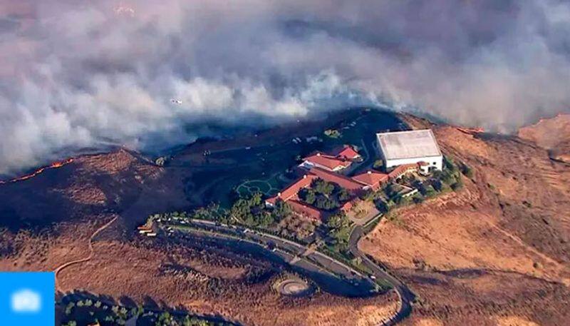 more than 500 Goats Saved California's Reagan Library From Wildfire on Wednesday