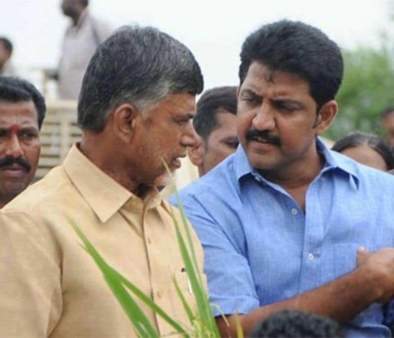 Ys Jagan plans to control tdp in andhrapradesh