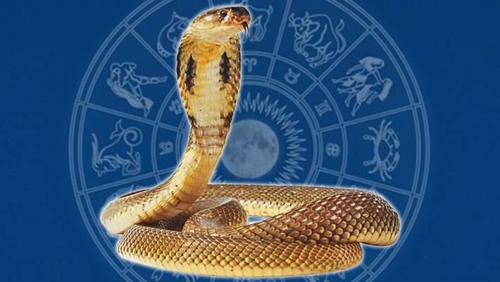 The Story of kala sarpa dosh The Story of kala sarpa dosh