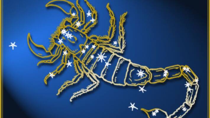 Scorpio will be in the new year according to astrology Scorpio will be in the new year according to astrology
