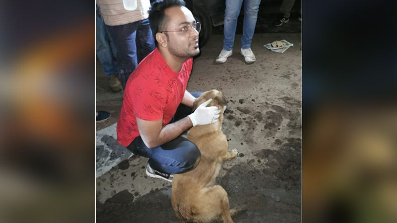Emotional case of a female dog and her newborn's rescue in bhopal