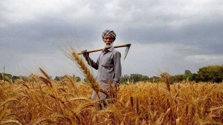 India may become farmer suicide capital? India may become farmer suicide capital?