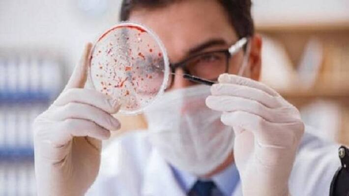 Cancer cases are increasing across the country, know what are the reasons Cancer cases are increasing across the country, know what are the reasons