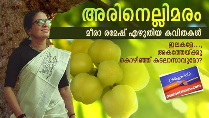 Literature festival six poems by meera ramesh Literature festival six poems by meera ramesh