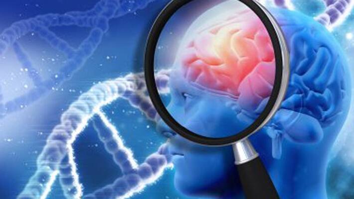 Bengaluru scientists found medicine for Alzheimer's disease Bengaluru scientists found medicine for Alzheimer's disease