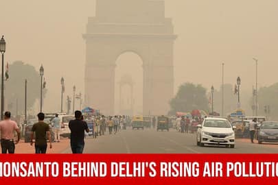 Is Monsanto Behind Delhi's Rising Air Pollution?