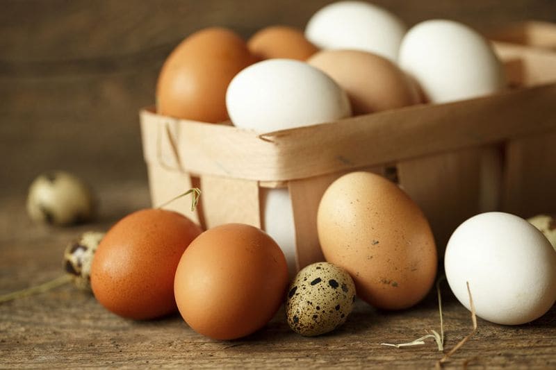 UP Man Death For Challenge to Eat 50 Eggs Dies After 41 Egg