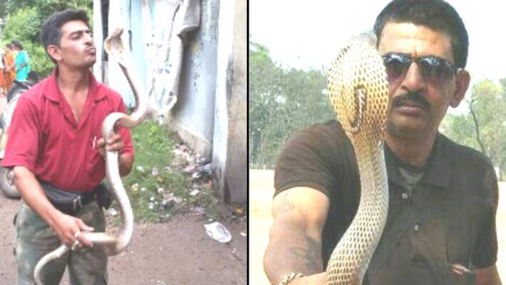 This Snake catcher got exceptional power know about Durgapur's Debashis Majumder This Snake catcher got exceptional power know about Durgapur's Debashis Majumder
