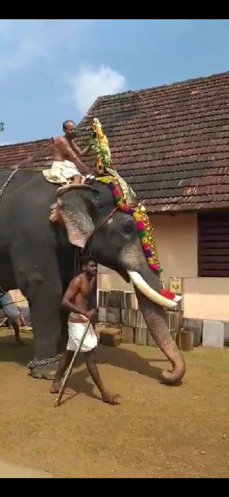 elephant killed mahout in chengalam