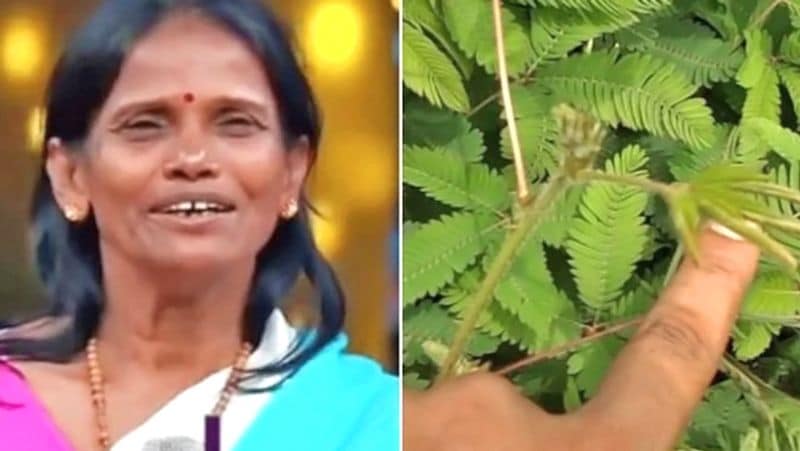 Ranu mondal misbehave with fan and Social media users making fun