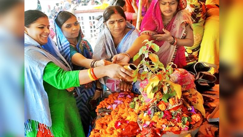 ನಿರ್ಜಲ ಏಕಾದಶಿ ಮತ್ತು ಎಲ್ಲಾ ಏಕಾದಶಿಗಳು ವಿಷ್ಣುವಿಗೆ ಅರ್ಪಿತವಾಗಿವೆ. ಈ ಸಂದರ್ಭದಲ್ಲಿ ವಿಷ್ಣುವಿನ ಪ್ರೀತಿಯ ತುಳಸಿಯನ್ನು ಹೇಗೆ ನೋಡಿಕೊಳ್ಳಬೇಕೆಂದು ತಿಳಿಯುವುದು ಬಹಳ ಮುಖ್ಯ. ಅದರಲ್ಲೂ ತುಳಸಿಗೆ ನೀರು ಅರ್ಪಿಸುವ ಬಗ್ಗೆ ತಪ್ಪದೇ ತಿಳಿಯಿರಿ.