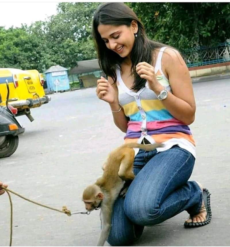 ఓ సినిమా షూటింగ్ లో భాగంగా అక్కడకి తీసుకొచ్చిన ఓ కోతితో సరదాగా ఆడుకుంటున్న అనుష్క