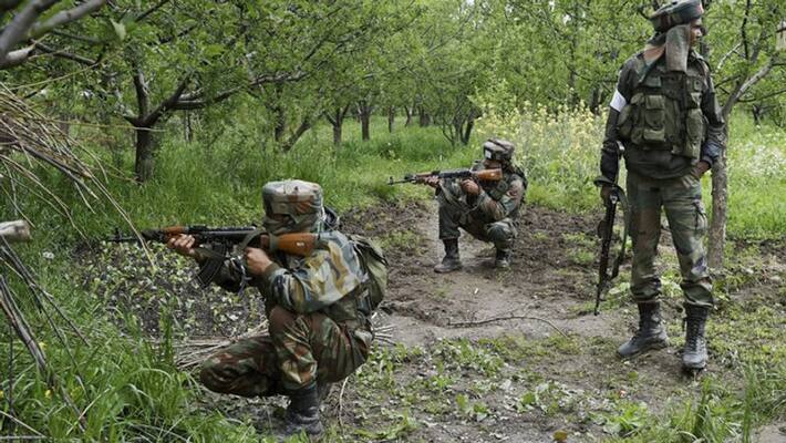 2 women among 5 naxals killed in encounter with police in Khobramendha forest-dnm 2 women among 5 naxals killed in encounter with police in Khobramendha forest-dnm