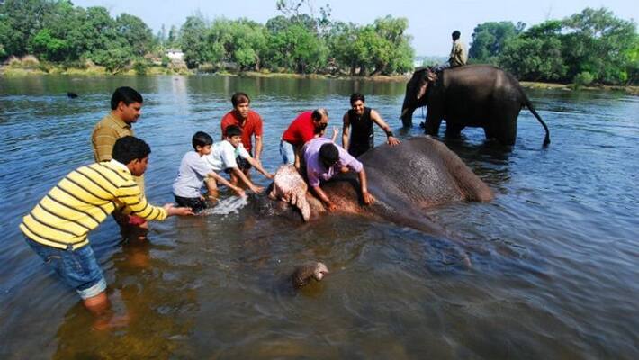 lack of basic amenities in elephant camps lack of basic amenities in elephant camps