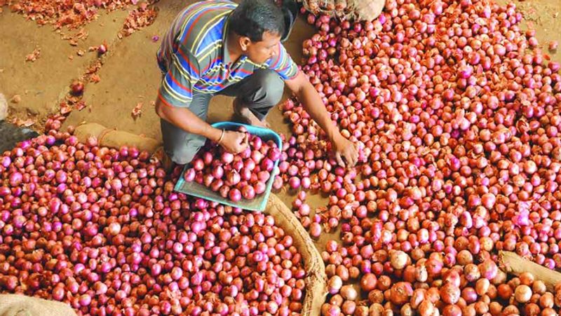 Reason behind onion price rise every year between October December