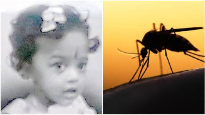 two year old child died due to dengue two year old child died due to dengue
