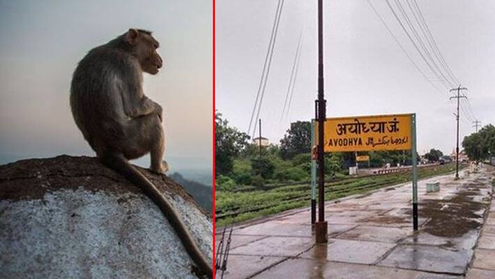 Supreme Court verdict on Ayodhya, what is the story behind this dispute Supreme Court verdict on Ayodhya, what is the story behind this dispute
