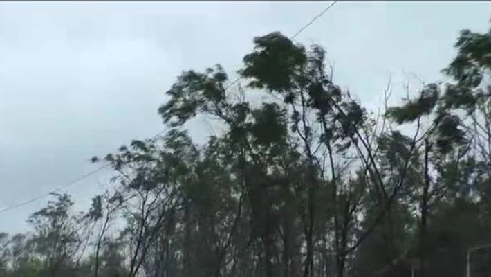 Cyclone Bulbul: Heavy rainfall likely to occur over north coastal districts of Odisha Cyclone Bulbul: Heavy rainfall likely to occur over north coastal districts of Odisha