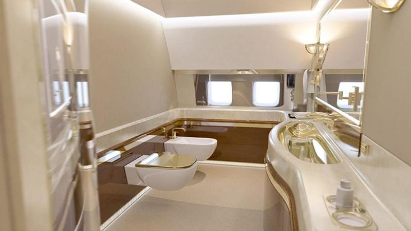 World's most powerful leader Putin use gold-plated toilet seat in his Jet