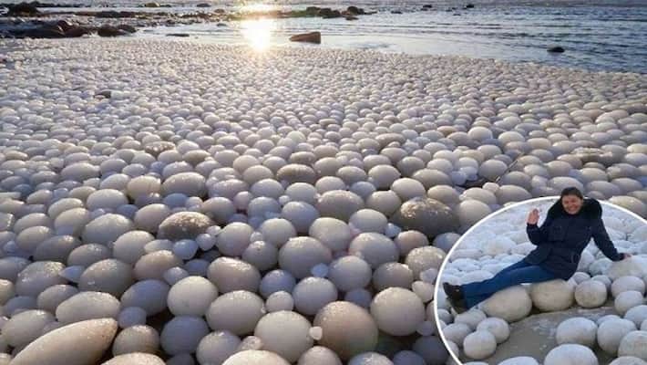 The eggs were filled at the seasore overnight, the scientists were shocked The eggs were filled at the seasore overnight, the scientists were shocked