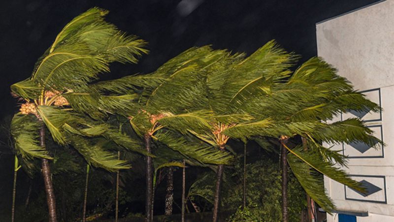 cyclone 'bulbul' killed 10 people in west bengal, 2.73 lakh families affected