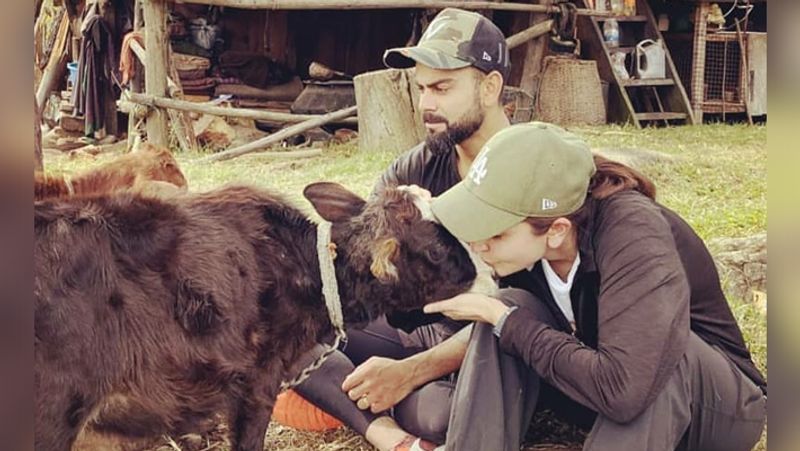 anushka sharma virat kohli enjoying vacation photos viral