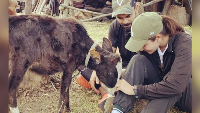 anushka sharma virat kohli enjoying vacation photos viral