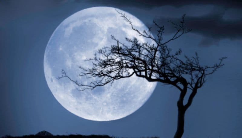 Follow these rules at Ras Purnima according to the zodiac sign to fulfill your wish BDD